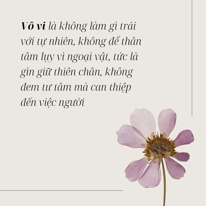 Học hỏi triết lý sống 'vô vi' của Lão Tử: không phải 'không làm gì' mà nên để mọi thứ tự nhiên