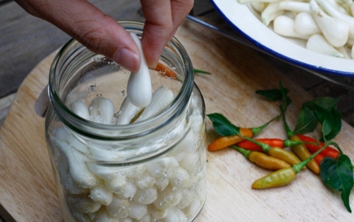 Loại củ trắng muốt giúp hỗ trợ tiêu hóa đem muối chua ngọt trắng giòn, không bị hăng, ngon đúng điệu ngày Tết