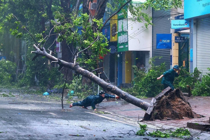 Sau cơn bão, bạn có ổn không?